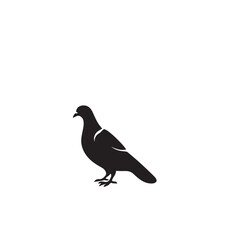 Obraz premium Pigeon bird silhouette. Pigeon logo, icon. Pigeon vector design isolated on white background.