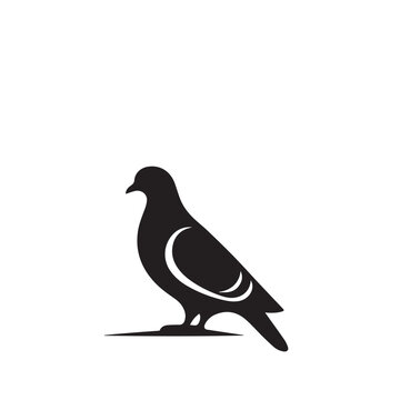 recommend clip art: Pigeon bird silhouette. Pigeon logo, icon. Pigeon vector design isolated on white background.