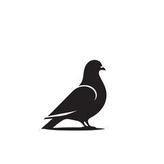 Obraz premium Pigeon bird silhouette. Pigeon logo, icon. Pigeon vector design isolated on white background.