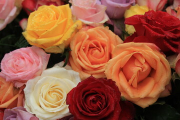 Mixed wedding roses
