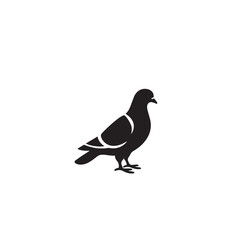Pigeon bird silhouette. Pigeon logo, icon. Pigeon vector design isolated on white background.