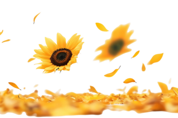 Autumn Floral Vector Seamless Pattern with Yellow Flowers and Leaves for Design
