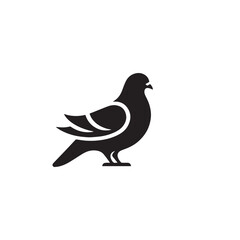 Pigeon bird silhouette. Pigeon logo, icon. Pigeon vector design isolated on white background.