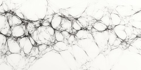 Obraz premium Intricate abstract pattern depicting interconnected lines and bubbles, creating a mesmerizing visual texture against a white background.