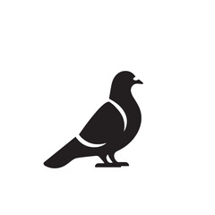 Fototapeta premium Pigeon bird silhouette. Pigeon logo, icon. Pigeon vector design isolated on white background.