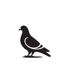 Pigeon bird silhouette. Pigeon logo, icon. Pigeon vector design isolated on white background.