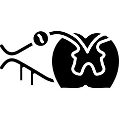 Ventral Root Icon