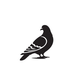 Obraz premium Pigeon bird silhouette. Pigeon logo, icon. Pigeon vector design isolated on white background.