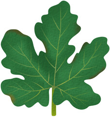 green oak leaf