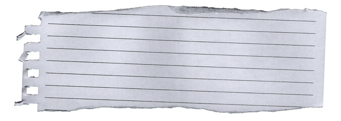 Ripped Torn Paper Edge Texture Transparent Background 