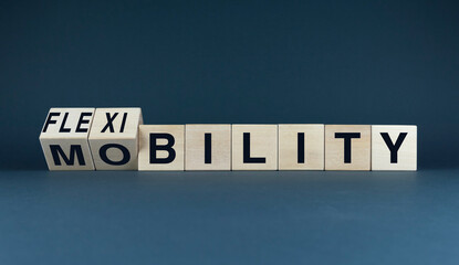 The words 'flexibility' and 'mobility' on wooden blocks