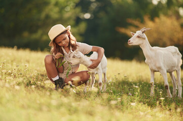 Fototapeta premium Sitting on the ground. Little girl is on the field with goats