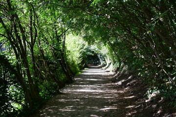 Ein Wanderweg bei Lana in Südtirol 