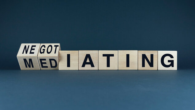 Negotiating the Middle Ground: The Role of Mediation