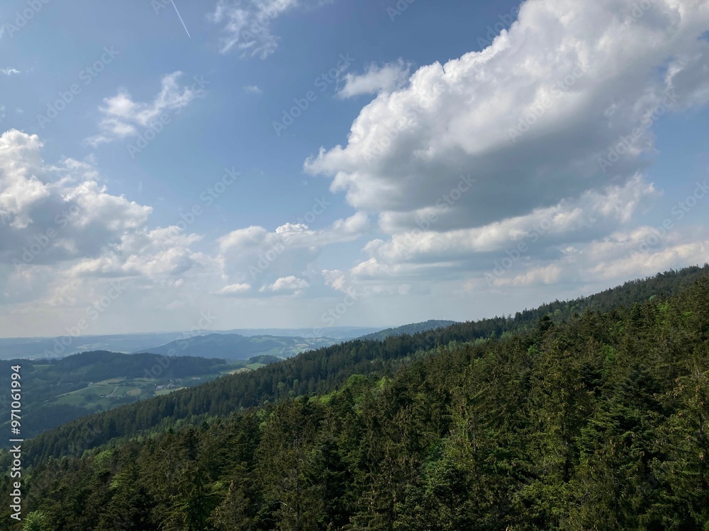 Wall mural Scenic forest view with rolling hills and cloudy sky