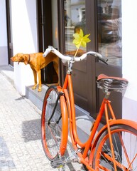 dog and bicycle © Екатерина A.