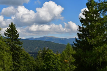 Sch&ouml;ne Landschaft auf dem Salten in S&uuml;dtirol 
