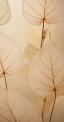 Delicate beige translucent leaves with natural texture and intricate veins create a stunning abstract botanical background or soft, wallpaper.
