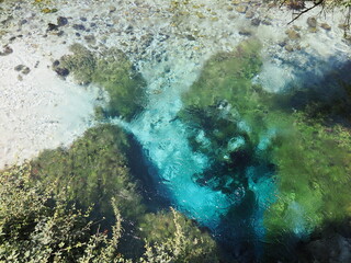 アルバニア　ブルーアイ