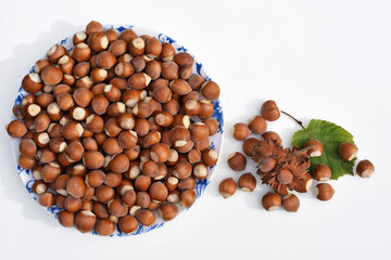 Hazelnuts in shell on a plate and on a white background with hazel leaf