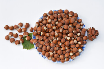 Hazelnuts in shell on a plate and on a white background with hazel leaf