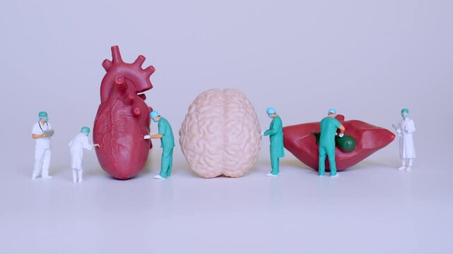 Conceptual image of miniature surgeons examining both heart and brain models, representing interdisciplinary approaches in healthcare and medical science.