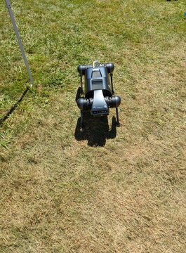 Orcas Island, Washington, USA - 06.28.2024: Boston Dynamics Spot robot, a multi-purpose dog robot, walking the street