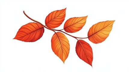 Isolated Autumn Leaves Vector Design
