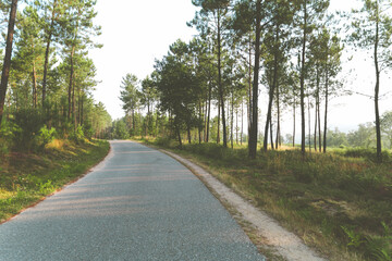 Camino de Santiago