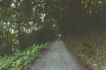 Obraz premium Camino de Santiago