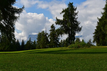 Schöne Landschaft auf dem Salten in Südtirol 