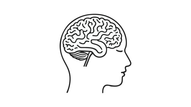 human head silhouette with brain inside, x-ray of head with brain vector outline illustration