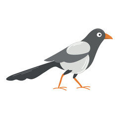 Fototapeta premium Magpie icon clipart avatar logtotype isolated illustration