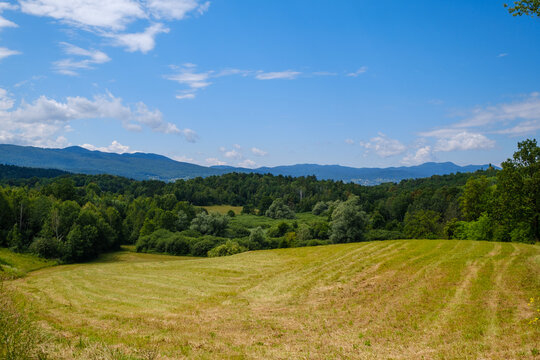 Area around Lahinja river spring in Bela krajina Slovenia