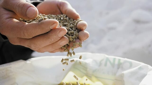 Closeup of granulated feed in the hands of a farmer falling to the bag in slow-motion