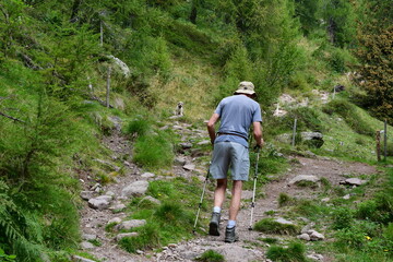 Obraz premium Mann und se8n Lagotto Romagnolo Hund wandern in Südtirol 