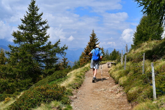 Mann und sein Lagotto Romagnolo Hund wandern auf dem Hirzer in S&uuml;dtirol 