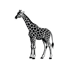 Minimal Giraffe Logo Design Showcasing a Sleek Vector Illustration and Simple Silhouette