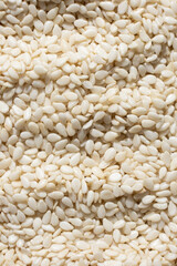 White sesame background, macro top view.