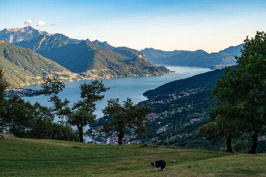 View of Lake Como, towards the south, from Musso, with the overhanging mountains, Dervio, the roads and the towns bordering the lake.
