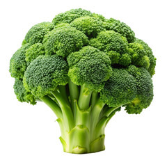 Broccoli png