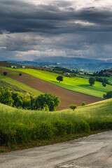 Spring view of landscapes of region Marche near Ancona during sunset. Green waves hills and lone...