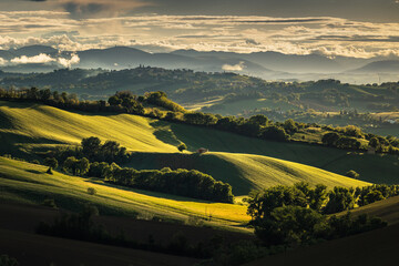 Spring view of landscapes of region Marche near Ancona during sunset. Green waves hills and lone trees make this landscape unreal.