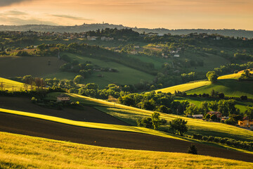 Spring view of landscapes of region Marche near Ancona during sunset. Green waves hills and lone...