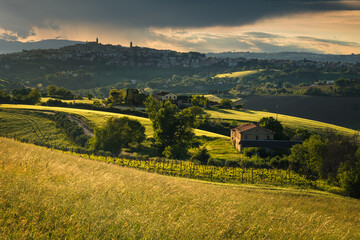Spring view of landscapes of region Marche near Ancona during sunset. Green waves hills and lone...
