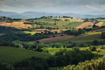 Spring view of landscapes of region Marche near Ancona during sunset. Green waves hills and lone...