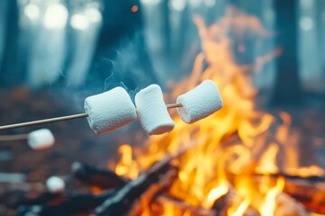 Three marshmallows are being toasted over an open campfire in a forest setting, perfect for promoting camping trips, outdoor activities, or culinary content related to marshmallow recipes,