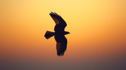 Fototapeta premium A hawk silhouetted against a vibrant orange sunset sky ideal for backgrounds, nature themes, and wildlife concepts,