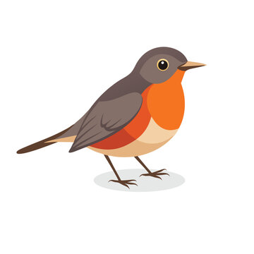 recommend clip art: American Robin bird isolated flat vector illustration on white background
