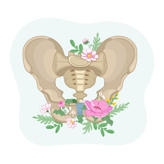 1-1 pelvic floor health